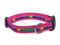 Colorado Proud ! Pink Collar Medium - Poudre Pet and Feed Supply